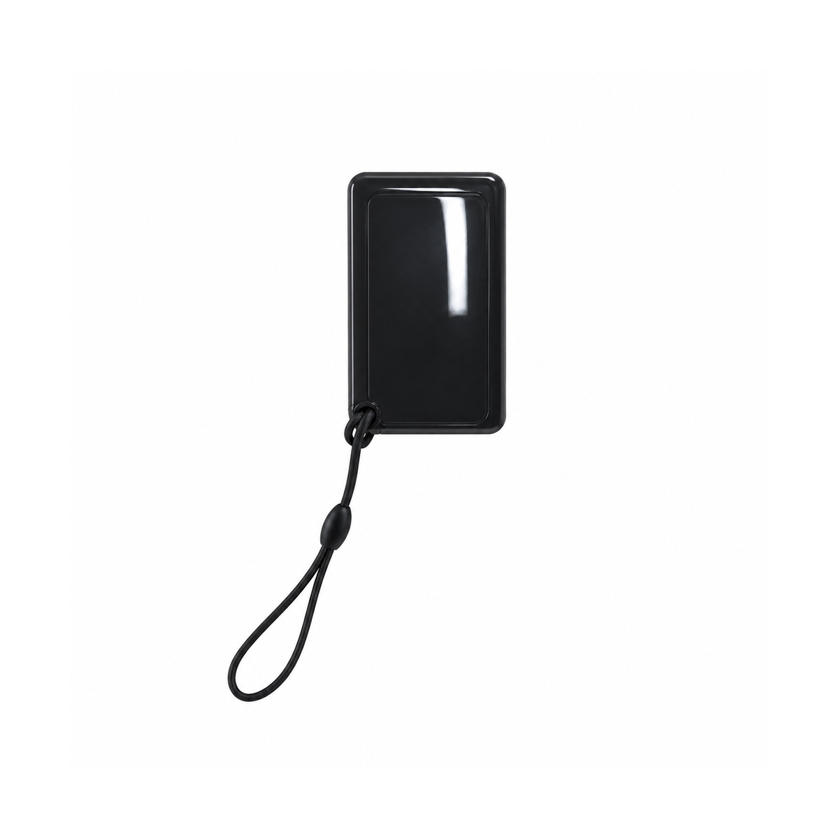 Extreme Wheel ES — IC card — Extreme Wheel ES replacement part